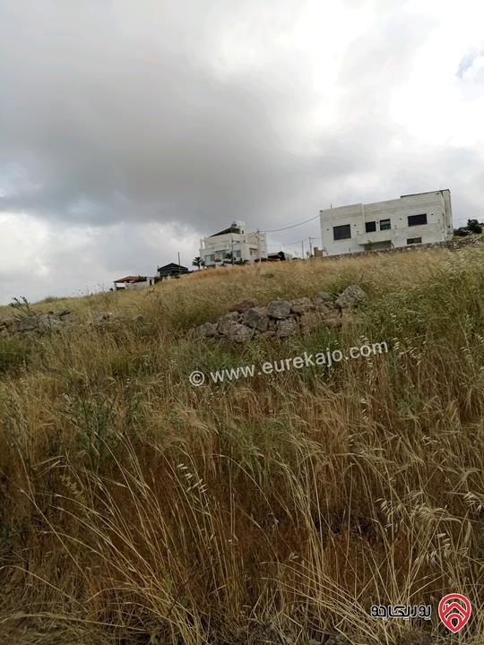 أرض مساحة 508م على 3 شوارع للبيع في عمان - العال والروضة حوض بدر