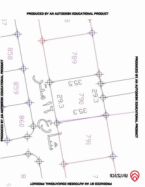 قطعة ارض مساحة 1 دونم و 61م للبيع فى عمان - الجيزة حوض الموارس 