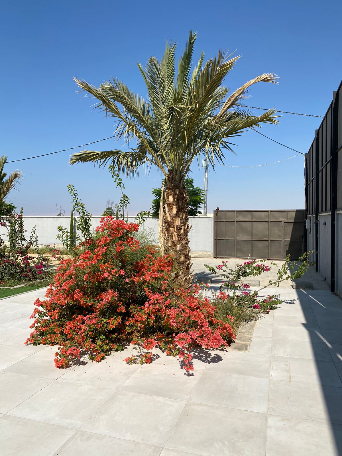مزرعة - شاليه Istanbul Farm للايجار اليومي في البحر الميت 
