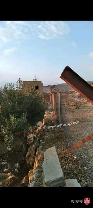 أرض مساحة 546م  للبيع في عمان - ناعور