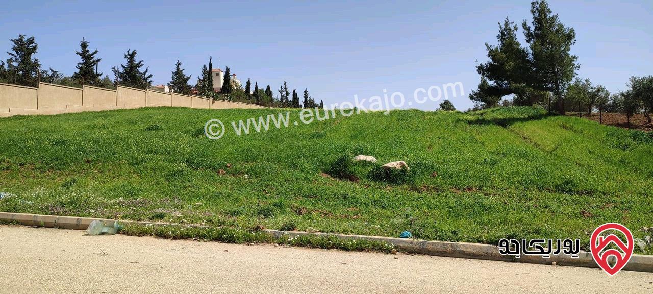 قطعة أرض مساحة 4 دونم و 22م للبيع في موبص قرب شارع الأردن