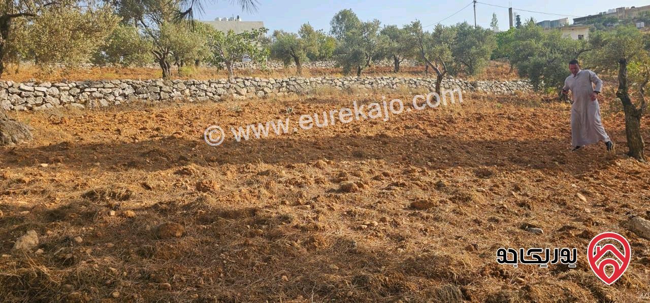 قطعة أرض ريفية مساحة 7 دونم للبيع في في جرش سوف حوض بيدر الحمص 