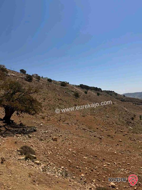 ارض مساحة 1200م للبيع في عمان - مرج الحمام