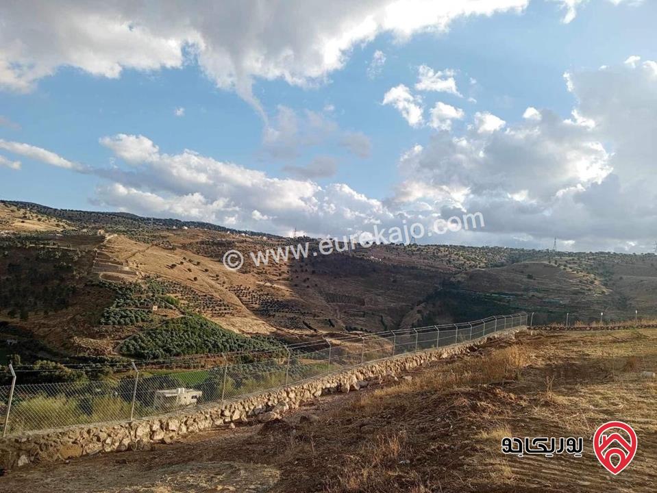 أرض مساحة 3 دونم و 796م قوشان مستقل للبيع من المالك مباشرة في جرش مطلة على سيل جرش، سنسال متر وشيك ارتفاع مترين على كامل القطعة بالاضافة الى شجر زيتون وحمضيات عدد 70