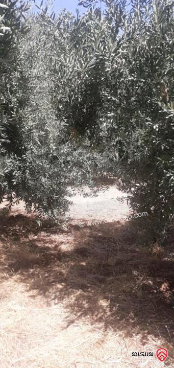 بيت سكن أ مساحة 770م على أرض 1057م للبيع بسعر الأرض في عمان - مرج الحمام الشرقي