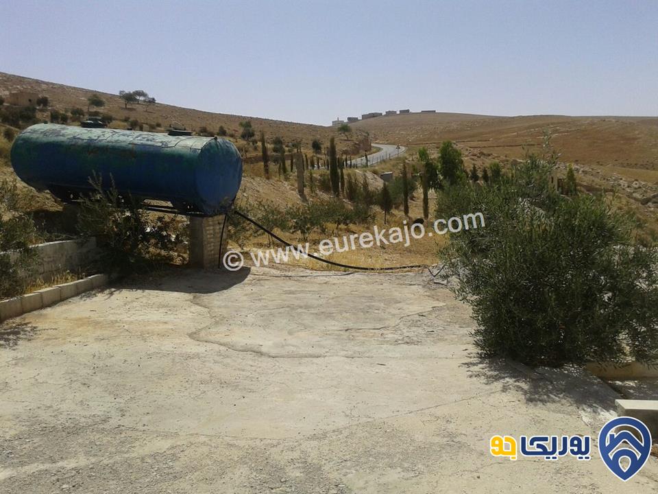 مزرعة مساحة 5000م للبيع في بلعما