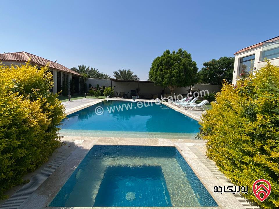 مزرعة Palm Paradise Farm للايجار اليومي في البحر الميت