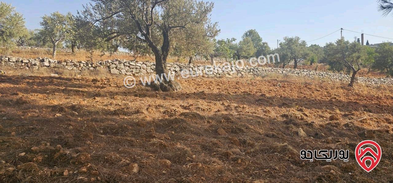 قطعة أرض ريفية مساحة 7 دونم للبيع في في جرش سوف حوض بيدر الحمص 