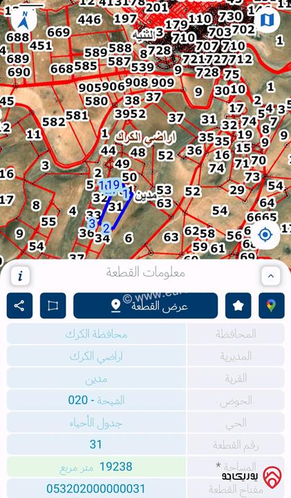 قطعة ارض مساحة 19 دونم و 283م للبيع في الكرك - حوض الشيحة قرية مدين جنوب قرية الغوير