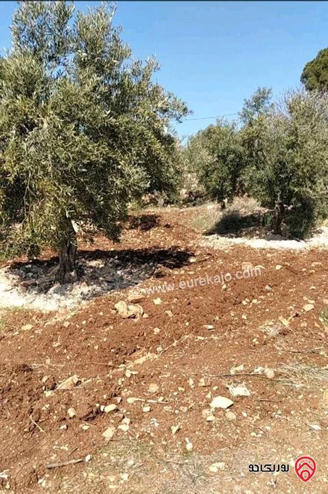 أرض مساحة 3 دونم و 400م للبيع من أراضي جنوب عمان - الزعفران