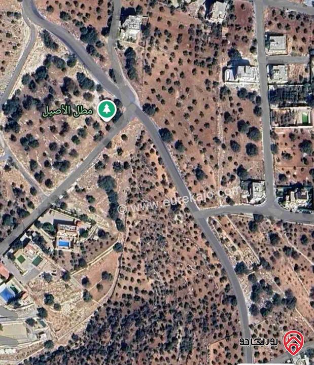 أرض مساحة 570م سكن خاص فلل للبيع في عمان - بدر الجديدة قرب مسجد الغروس الكبير