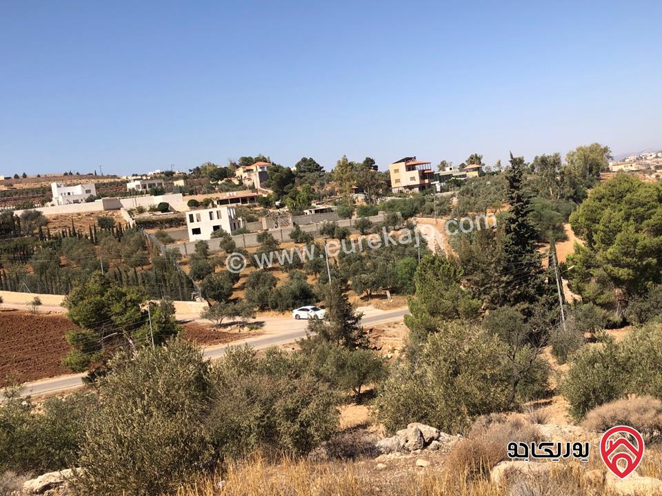 قطعة ارض مساحة 6 دونم و 500م للبيع كاملة او جزء منها في الزرقاء - الكمشة حوض البيرة 