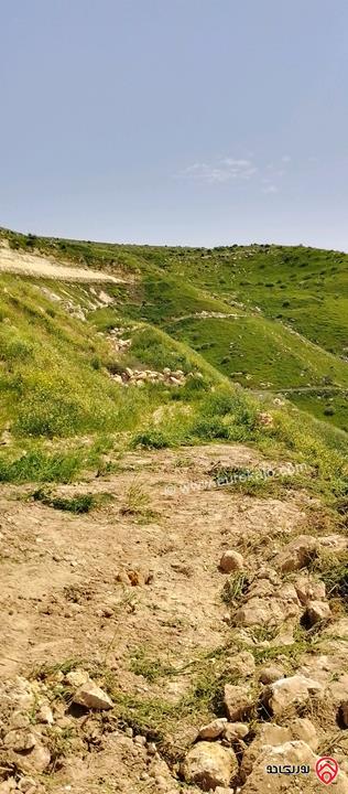 قطعة أرض مساحة 8650م للبيع في اربد - الكورة دير ابي سعيد 