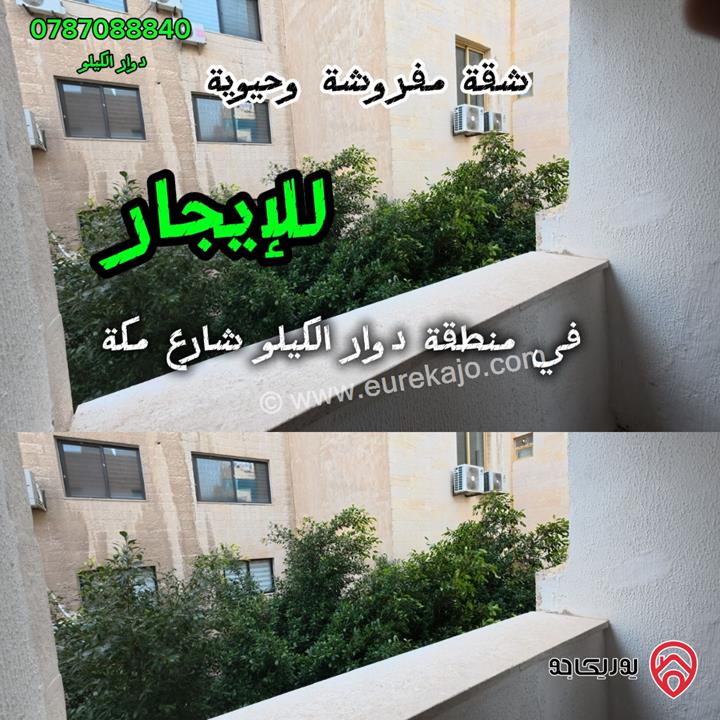 شقة مفروشة ضمن فيلا طابق أول مساحة 222م للايجار في عمان - ام السماق  