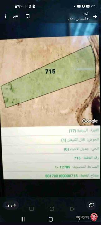 قطعة أرض مساحة 13 دونم للبيع من أراضي جنوب عمان - السيفية