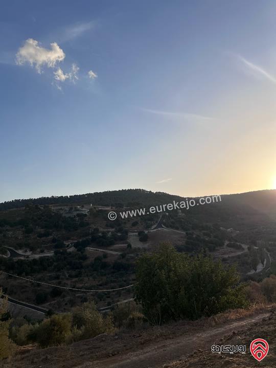 مزرعة مساحة الأرض 6 دونم و 500م للبيع في جرش منطقة جمله قريبة من محمية دبين اطلاله جميلة جداً وسعر حرق وربنا يبارك لصاحب النصيب