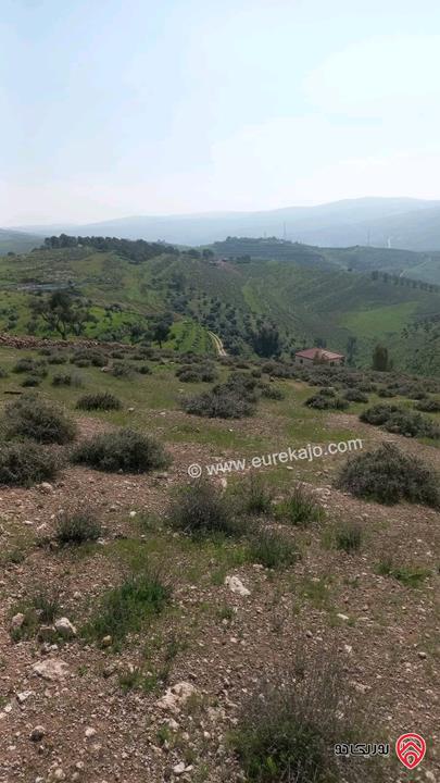 أرض مساحة 3 دونم و 758م للبيع في جرش // الرشايدة // قرية النبي هود 