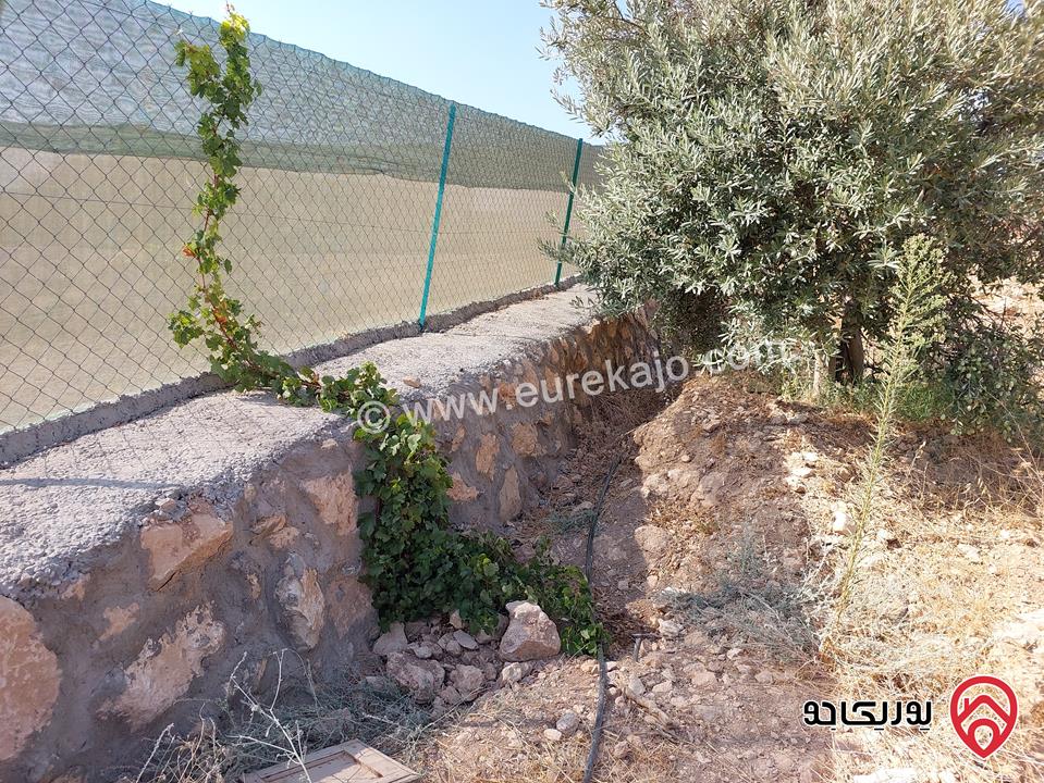 مزرعة مساحة 4 دونم للبيع في غرب عمان - البحاث 