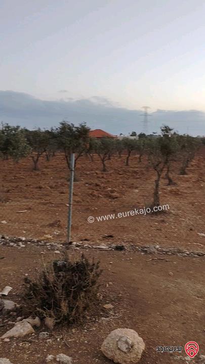 ارض مساحة 4 دونم و 500م للبيع في عمان - ام العمد حوض الحوام 