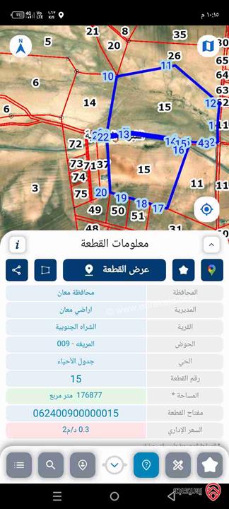 أرض مساحة 119 دونم و أصل 176 دونم للبيع في معان - المريغه
