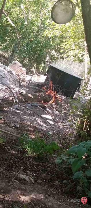 مزرعة مساحة 9 دونم مزروعة رمان و زيتون مرويه من خزان في نفس الارض للبيع في اربد - كفر سوم 