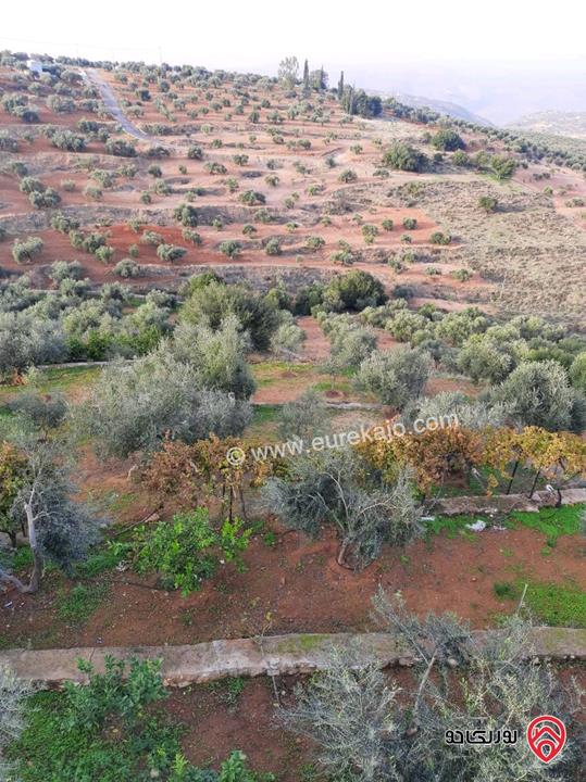 مزرعة زيتون مساحة الأرض 8 دونم و 300م و البناء مساحة 100م للبيع في السلط