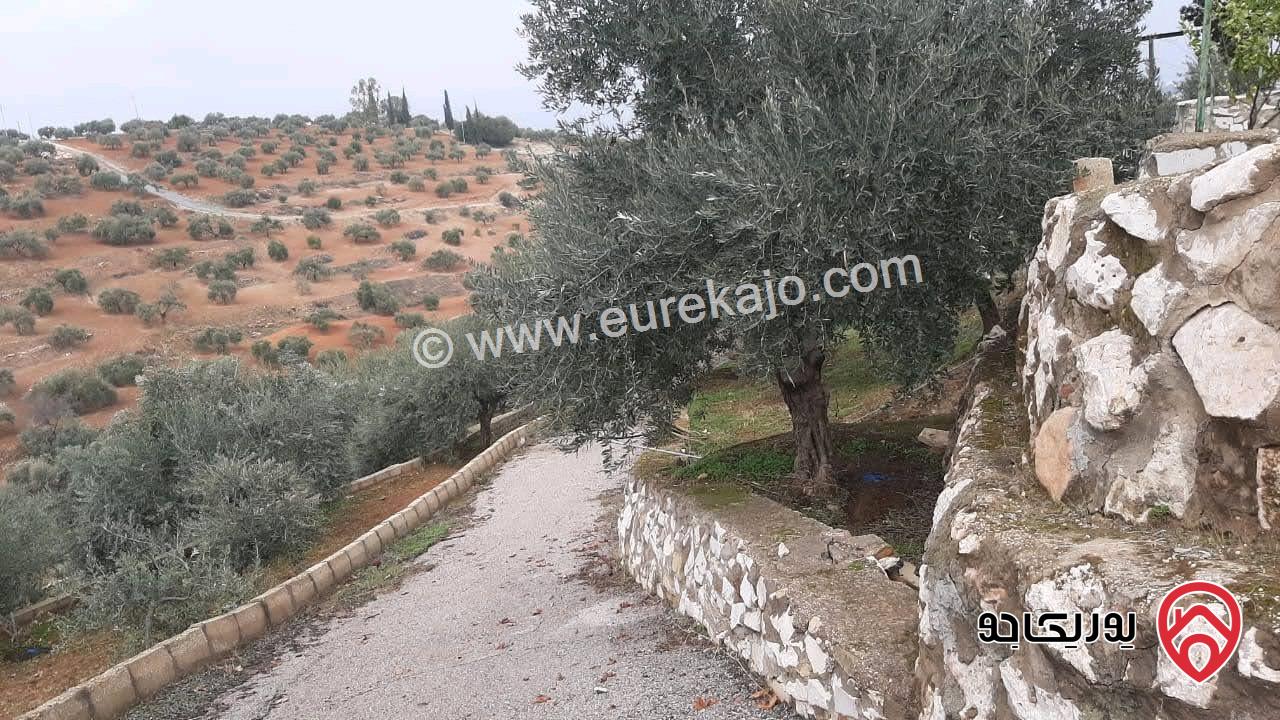 مزرعة زيتون مساحة الأرض 8 دونم و 300م و البناء مساحة 100م للبيع في السلط