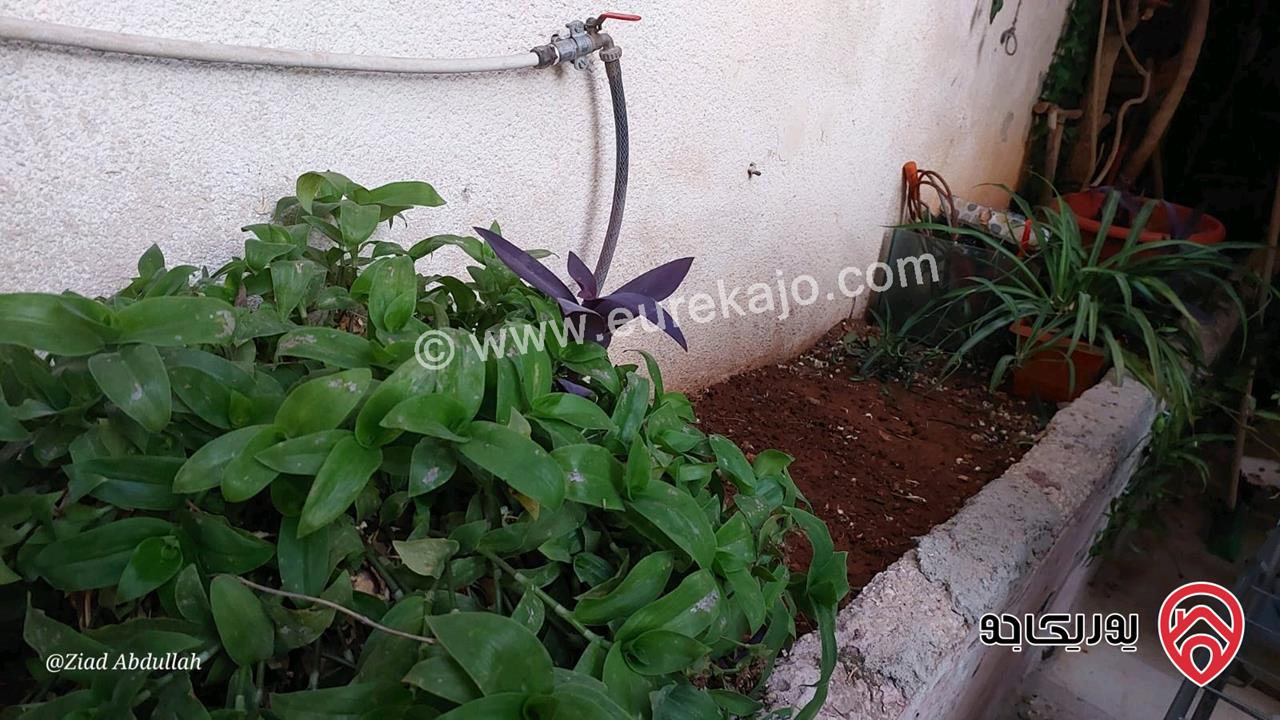 شقة تسوية مساحة 158م داخلي و 50م خارجي للبيع في عمان - ضاحية الرشيد