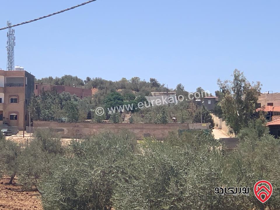 مزرعة مساحة الأرض 2 دونم للبيع بدون منزل في جرش حي الجبارات