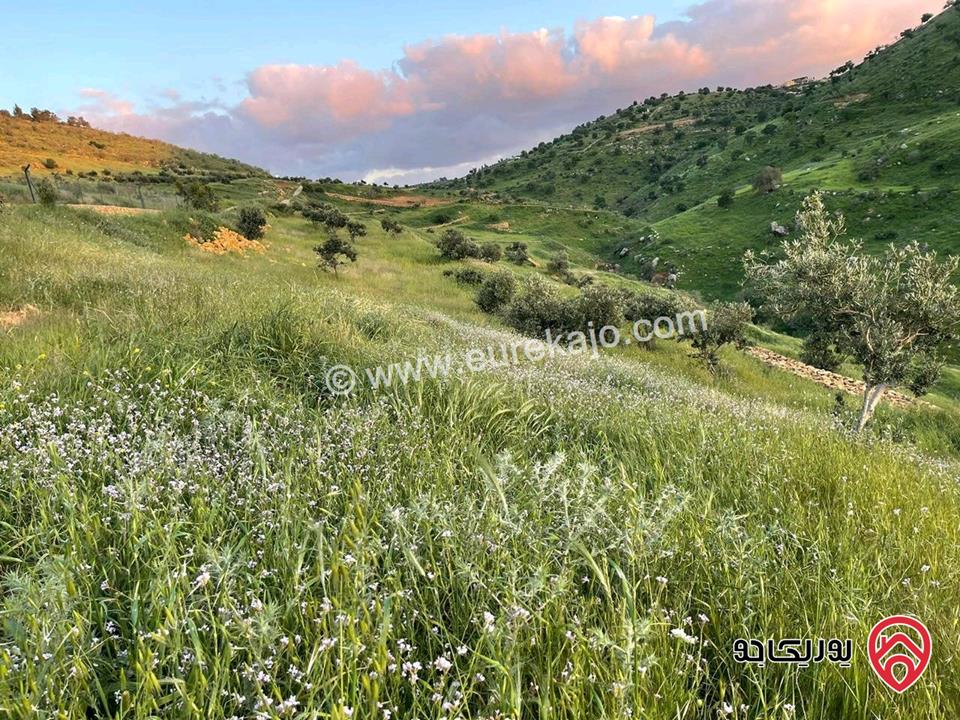 قطعة ارض مساحة 5 دونم للبيع في منطقة السلط الصبيحي 
