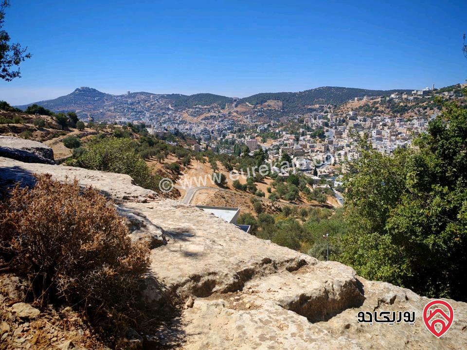 قطعة أرض مساحة 2 دونم و 272م للبيع من أراضي عجلون عين جنا