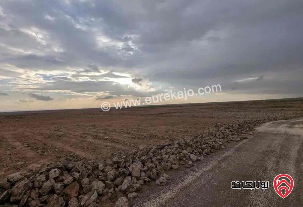 قطعة ارض مساحة 10 دونم للبيع في المفرق - أراضي البادية الشمالية بالاشرفيه