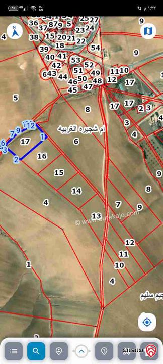 قطعة أرض مساحة 7 دونم للبيع في مادبا - ذيبان ام شجيره الغربيه 