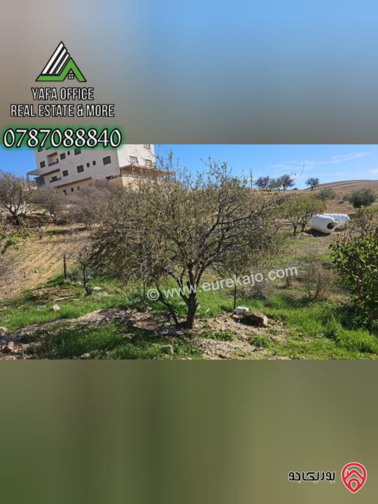 أرض مميزة مساحة 892م للبيع في عمان - شفا بدران