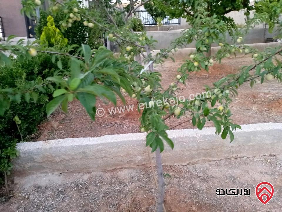 مزرعة مساحة الأرض 618م والبناء 100م للبيع في المفرق