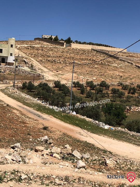 ارض مساحة 4 دونم للبيع في المفرق - بلعما - عين والمعمرية 