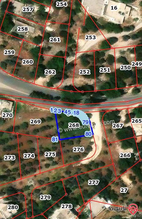 قطعة ارض مساحة 747م للبيع في عمان - بدر الجديدة -  قرية بلال