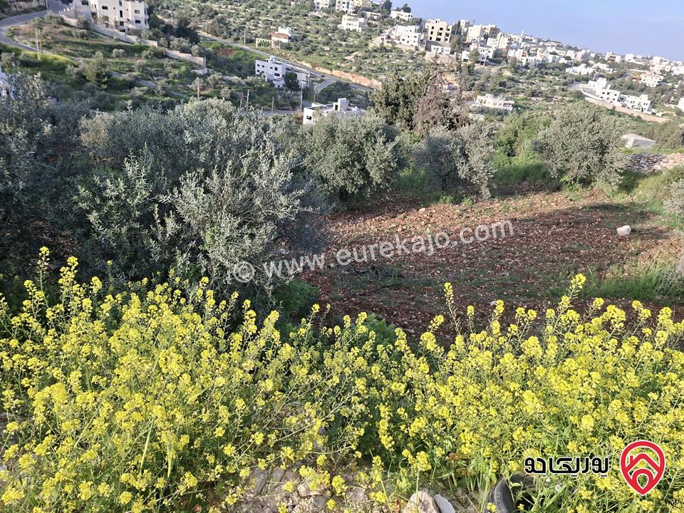 قطعة أرض مساحة 1 دونم للبيع في السلط - سوادة الشمالي
