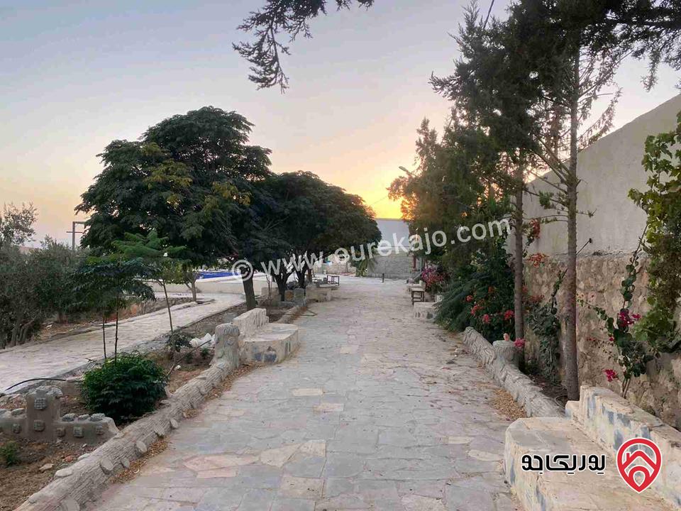 مزرعة مساحة الأرض 4 دونم و 60م للبيع في المفرق - بلعما مع أشجار زيتون مع أشجار زينة