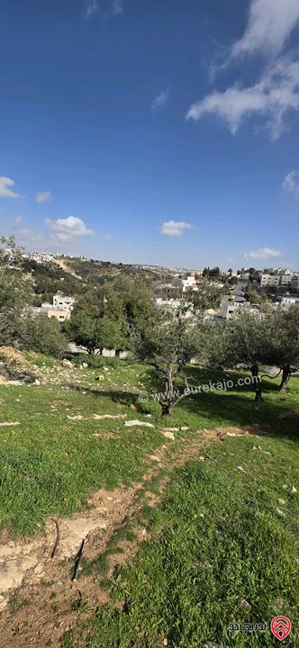 قطعة أرض مساحة 939م للبيع من أراضي غرب عمان - بلال