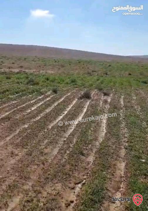 يوريكا جو - 49133 قطعة أرض مساحة 10 دونم للبيع من اراضي