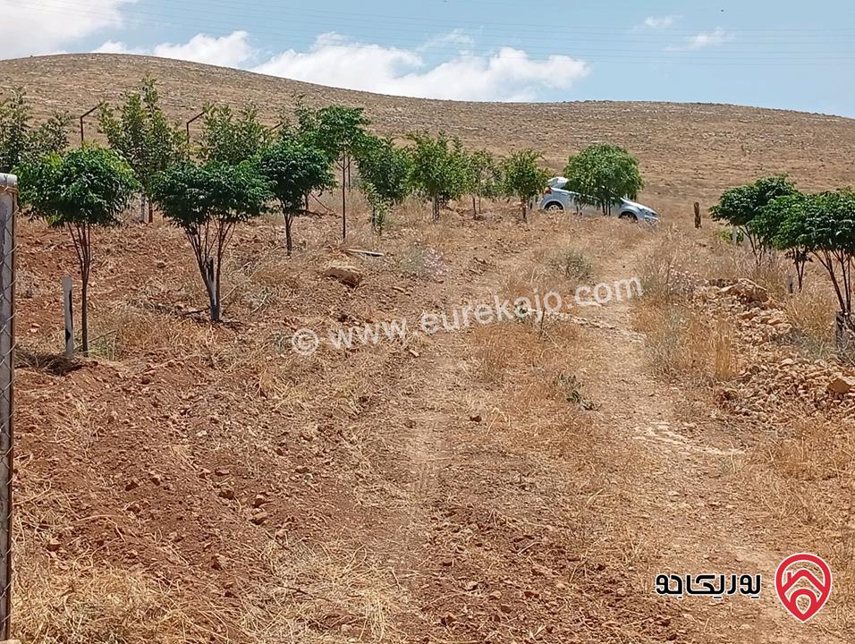 مزرعة مساحة الأرض 3 دونم و 400م بإطلالة للبيع في المفرق - بلعما