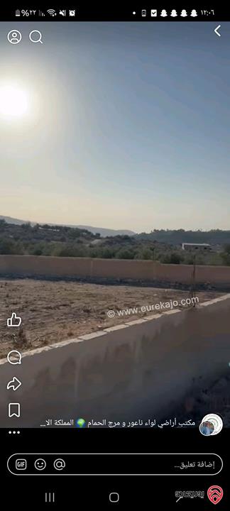 أراضي مساحة 3700م للبيع في عمان - ناعور حسبان مزروعة زيتون