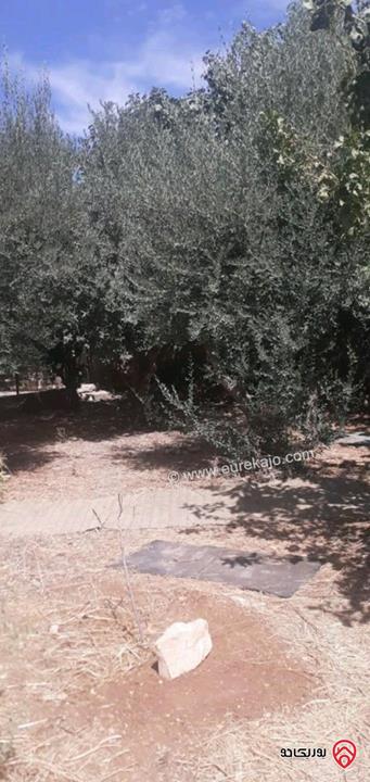 بيت سكن أ مساحة 770م على أرض 1057م للبيع بسعر الأرض في عمان - مرج الحمام الشرقي