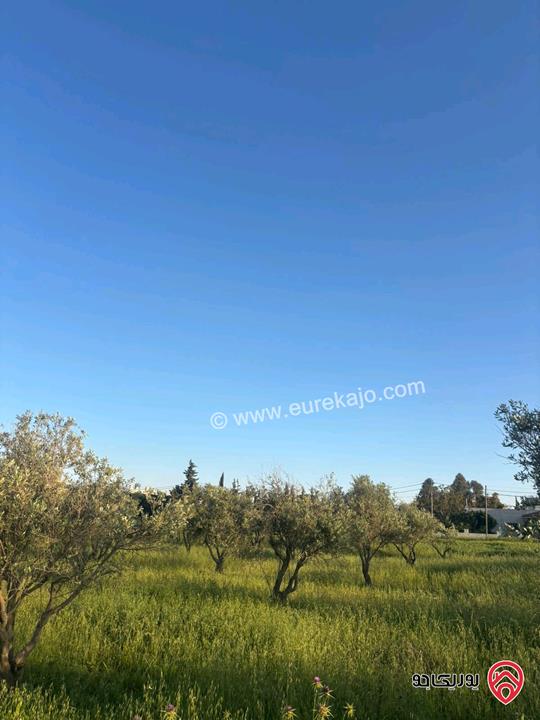 قطعة أرض مساحة 812م للبيع في مادبا - الخطابية 