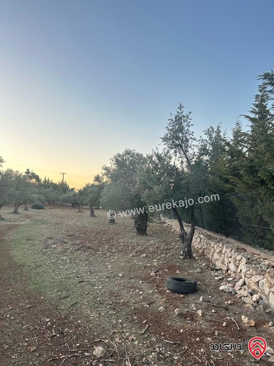 قطعة ارض مساحة 1 دونم و 720م للبيع في السلط زي منطقة مزارع وفلل مزروعة زيتون 