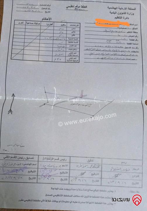 أرض مزروعة زيتون مساحة 13 دونم للبيع في مادبا - قرية الفيصلية 