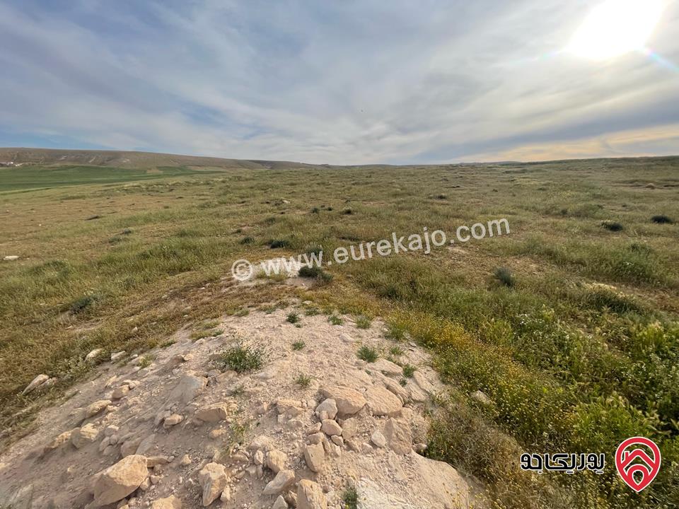 أرض مساحة 21 دونم و 400م للبيع من أراضي شرق عمان - الماضونة قرب جمرك عمان الجديد 