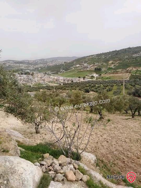 قطعة ارض مميزة مساحة 4 دونم و 390م للبيع في جرش /المقبلة 