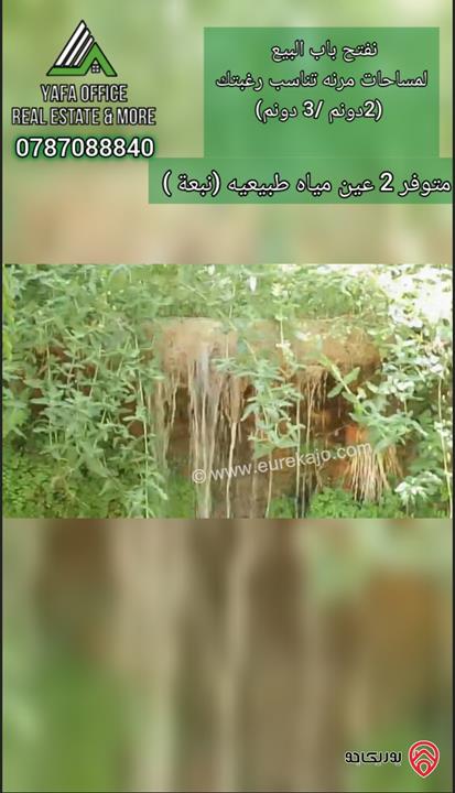 شاليه مميز مساحة الأرض 4 دونمات مشجرة بالكامل مع بناء 100م للبيع في عمان - البحاث